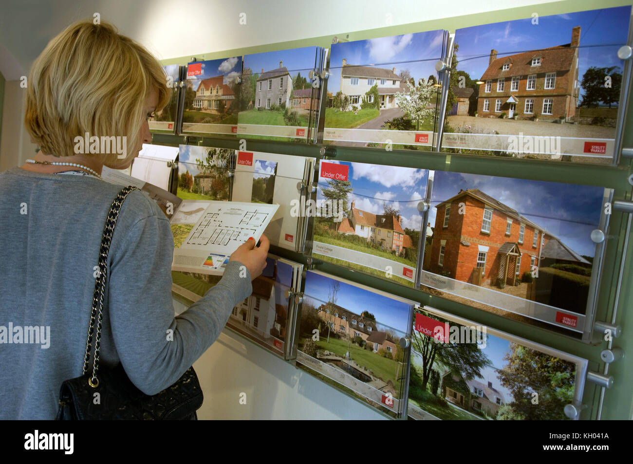 Estate agent Graham Waterton of Strutt & Parker in Salisbury, Wiltshire