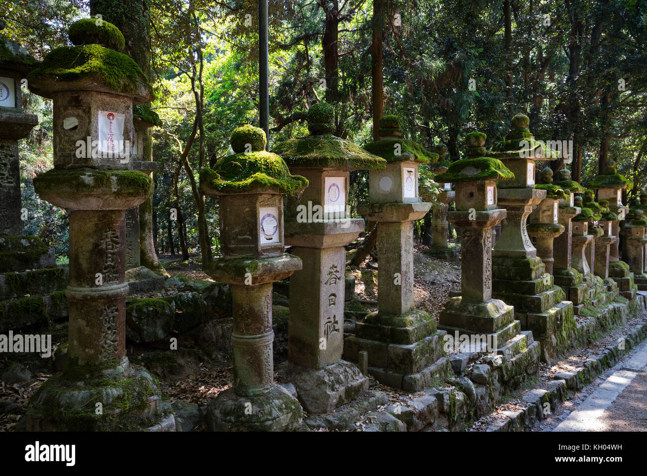 Nara - Japan, May 29, 2017: Many stone lanterns covered with moss near the path that lead up to the Kasuga Taisha shrine Stock Photo
