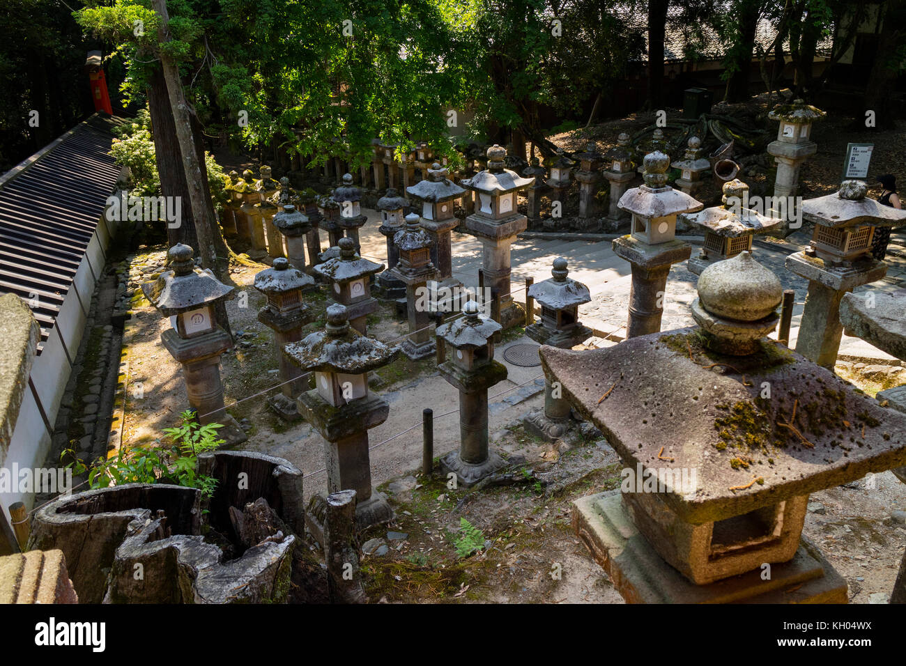 Nara - Japan, May 29, 2017: Many stone lanterns that lead up to the Kasuga Taisha shrine Stock Photo