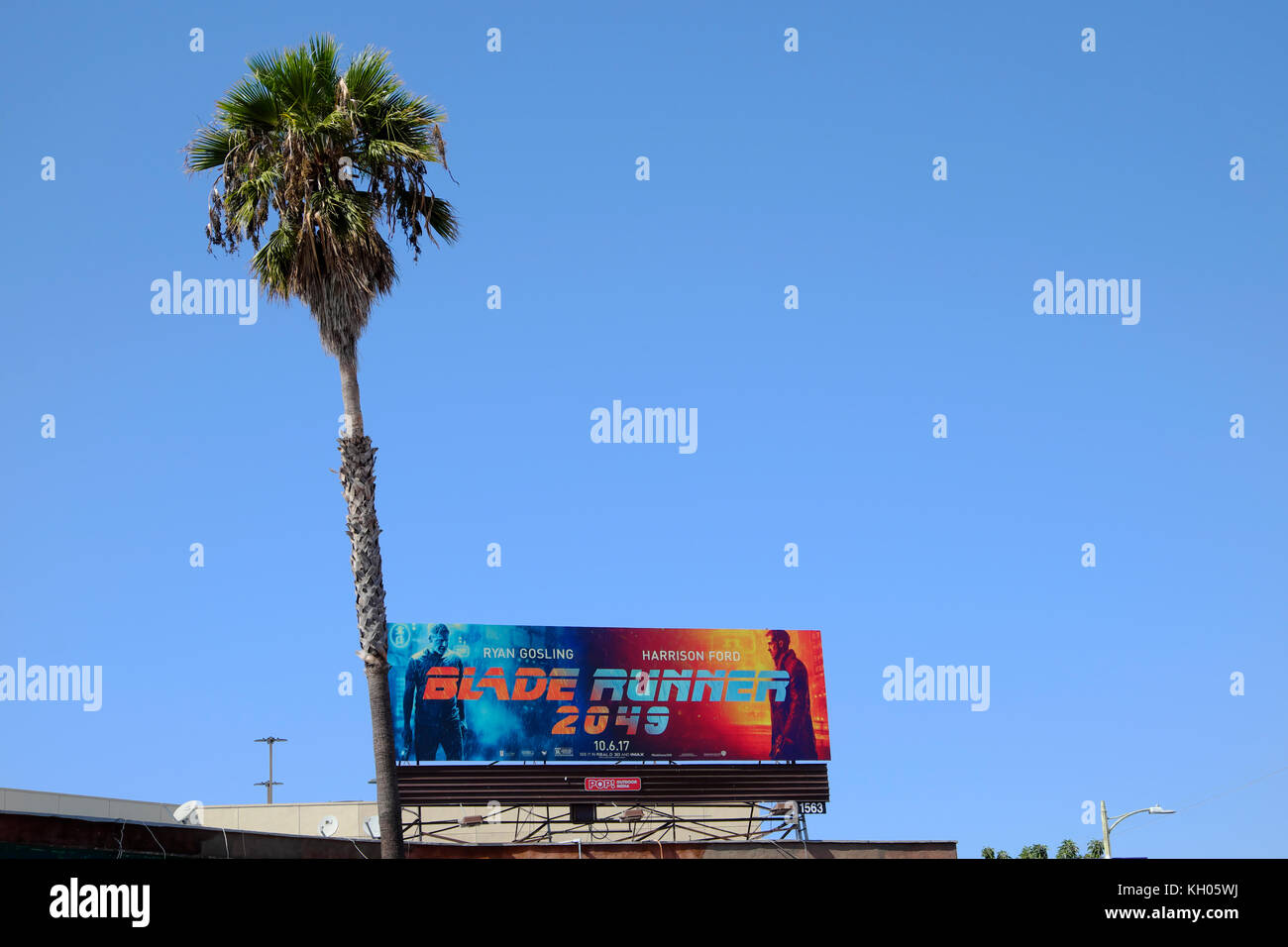 Blade Runner 2049 billboard, palm tree and blue sky on the corner of  Hollywood Boulevard & Sunset Boulevard, Los Feliz, California, USA  KATHY DEWITT Stock Photo