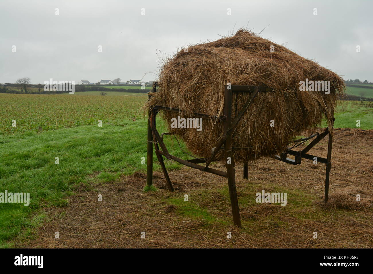 Hay Rack in Field Stock Photo Alamy