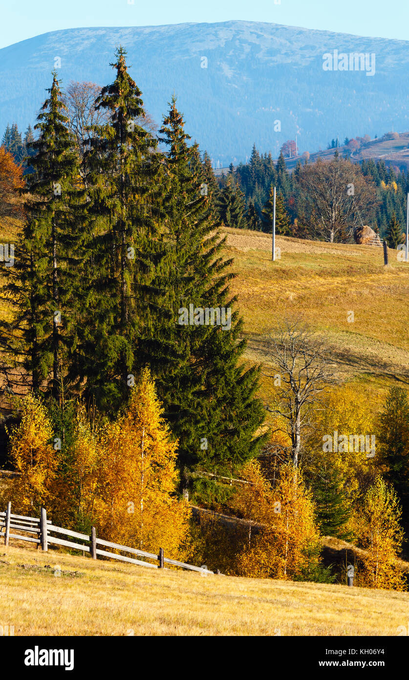 Autumn morning Carpathian slope landscape (Yablunytsia village, Ivano-Frankivsk oblast, Ukraine). Stock Photo