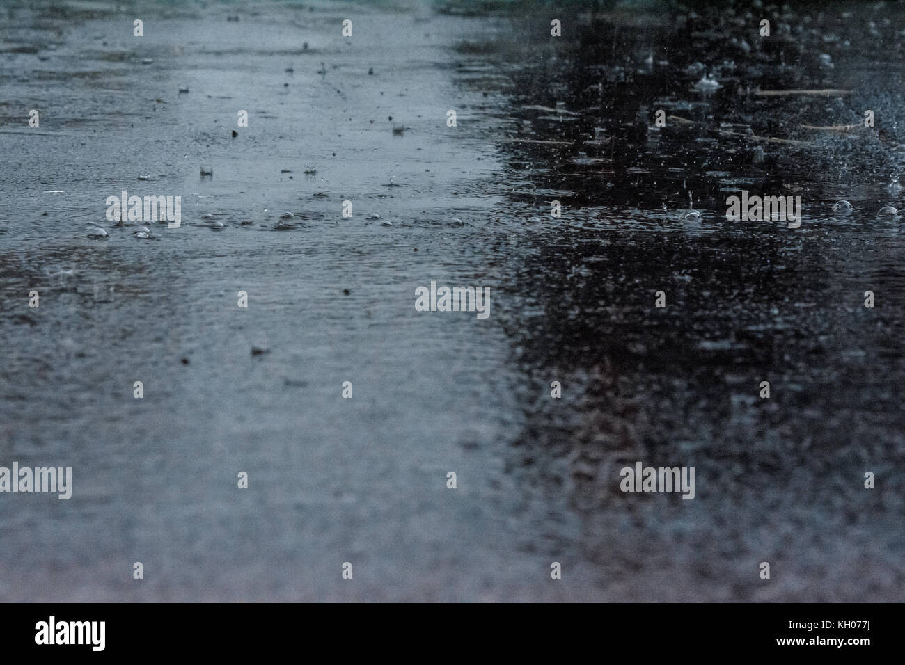 large raindrops falling on the road asphalt during a day of rain Stock Photo