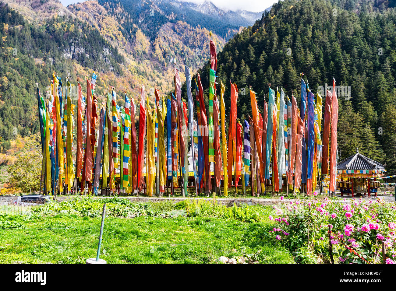 Tibetan prayer flags on poles for good luck at a village in Sichuan province, China Stock Photo