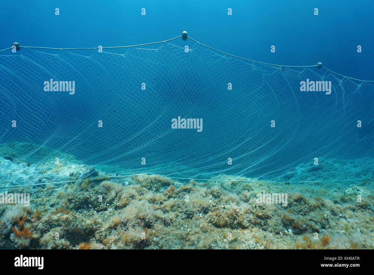 Gillnet underwater hi-res stock photography and images - Alamy