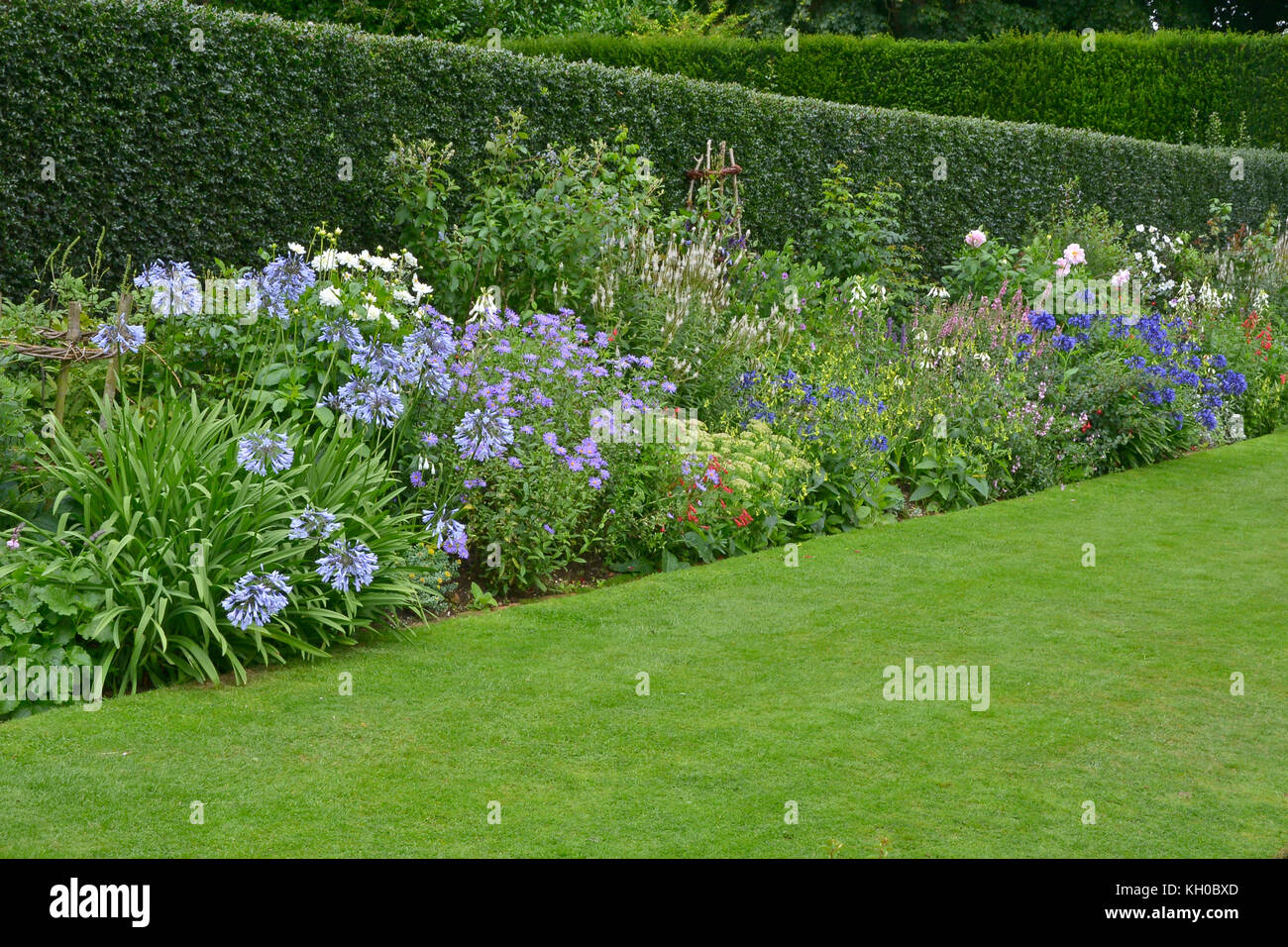 A garden flower border with mixed planting including Agapanthus, Asters, Veronicastrum and Dahlias Stock Photo
