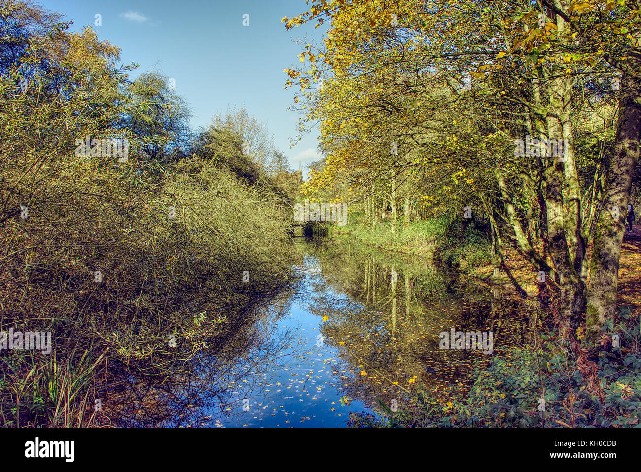 Pond in woodland,autumn landscape,Westport lake nature reserve,Stoke on