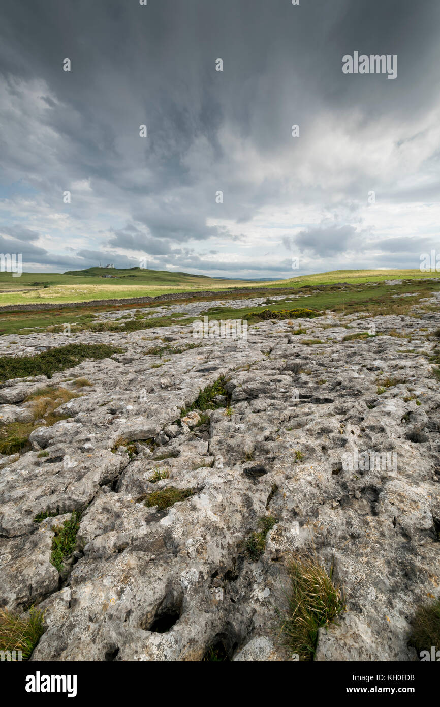 Limestone pavements on the Great Ormes Head Llandudno North Wales looking towards the summit. Stock Photo