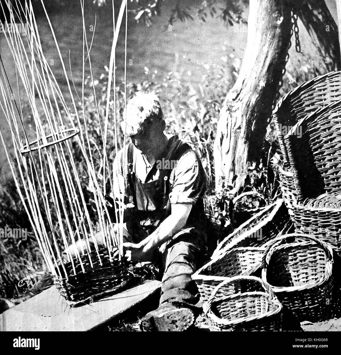 A British Osier Weaver making baskets in the 1930's from willow twigs (aka sallows or withies) Stock Photo