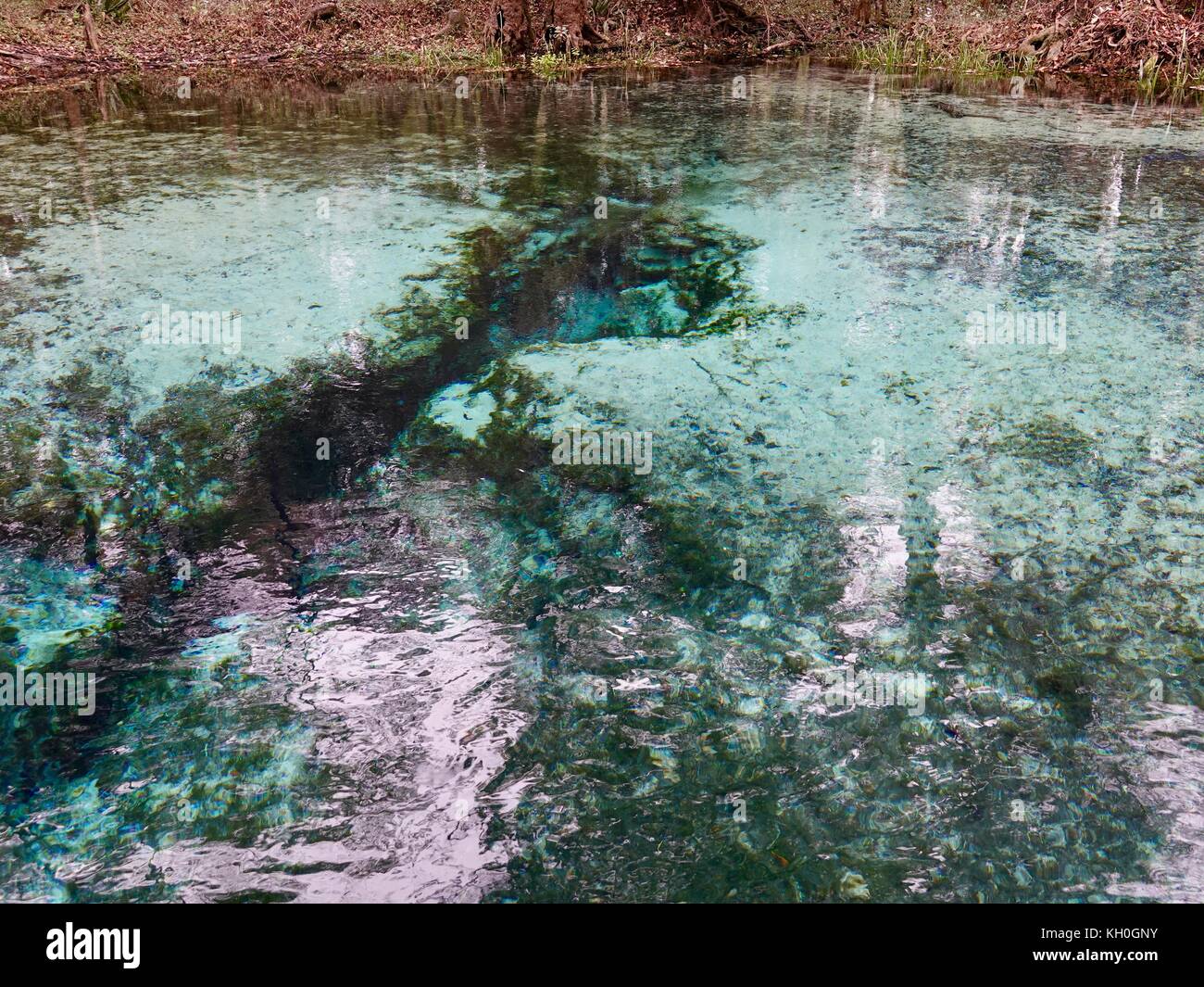 Gilchrist Blue Springs State Park, Florida, USA Stock Photo