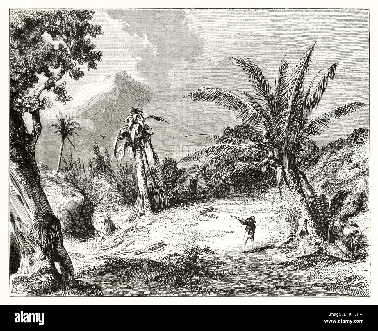 Old view of Guadeloupe. By Fontenay, publ. on Magasin Pittoresque, Paris, 1847 Stock Photo
