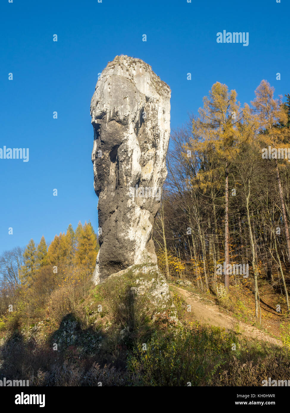Limestone monadnock, rock called 'Maczuga Herkulesa' (Hercules cudgel or bludgeon). Jurassic rock formation near Pieskowa Skala and Krakow, Poland Stock Photo