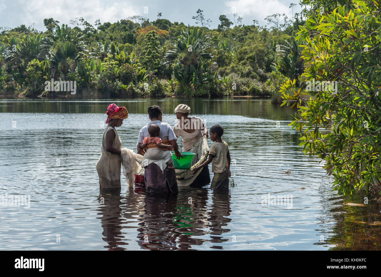 Several Malagasy women with children catch fish in a lake. Madagascar, Africa. Stock Photo