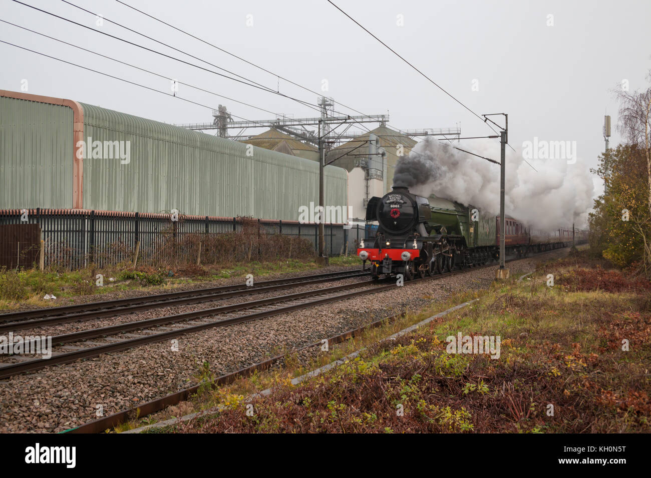 Tivetshall Crossing, UK. 11th Nov, 2017. The Flying Scotsman on route from Norwich to Ipswich at full steam passing through Tivetshall Crossing Credit: kevin snelling/Alamy Live News Stock Photo