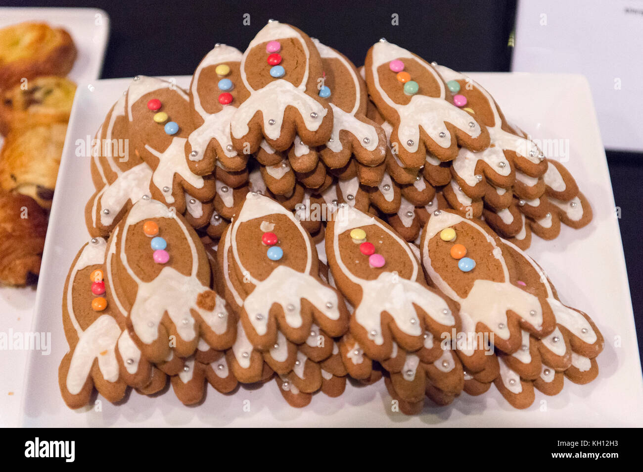 Science Museum, London, UK. 13 November, 2017. An exhibition marking 60 years to the day since British scientists launched the Skylark rocket programme, exploring the story behind one of the longest and most successful rocket programmes in the world, with Britain launching a total of 441 Skylark missions. Rocket shaped biscuits at the press launch. Credit: Malcolm Park/Alamy Live News. Stock Photo