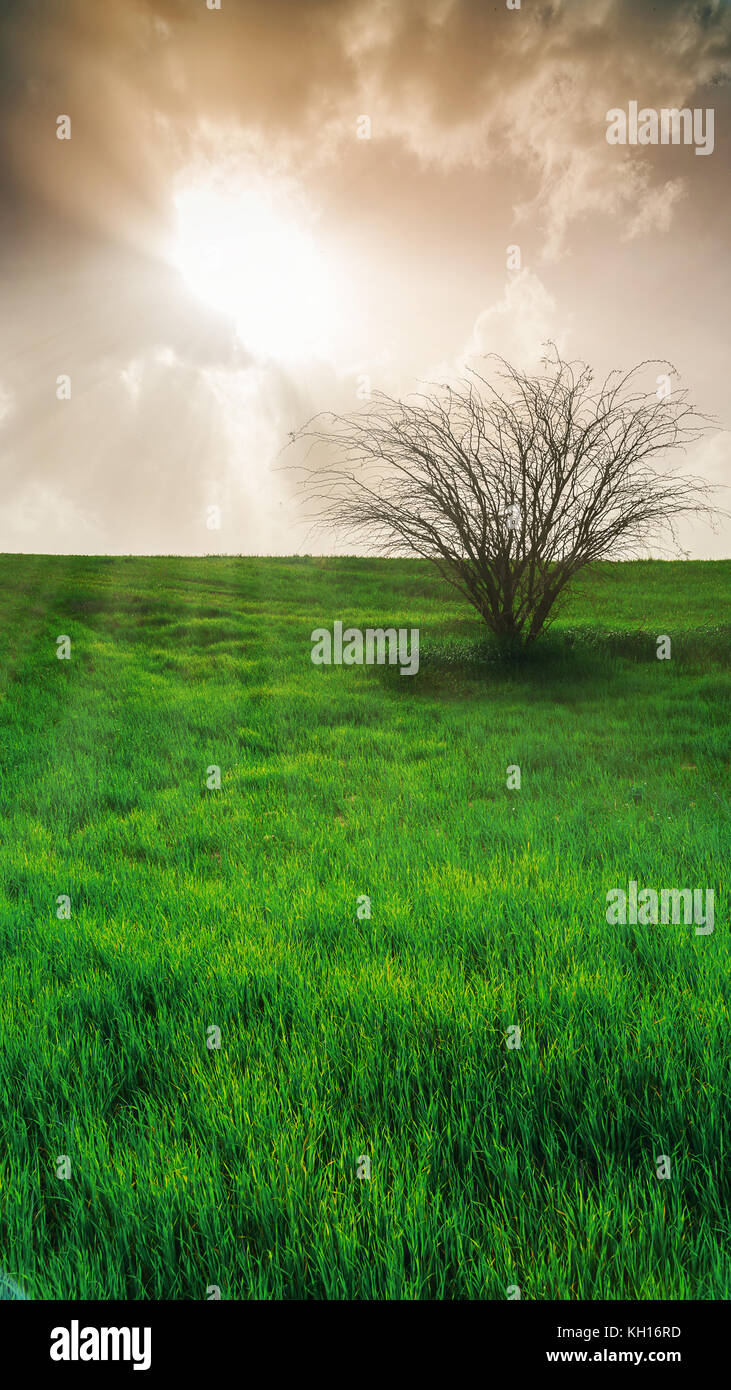 Green rural field hi-res stock photography and images - Alamy