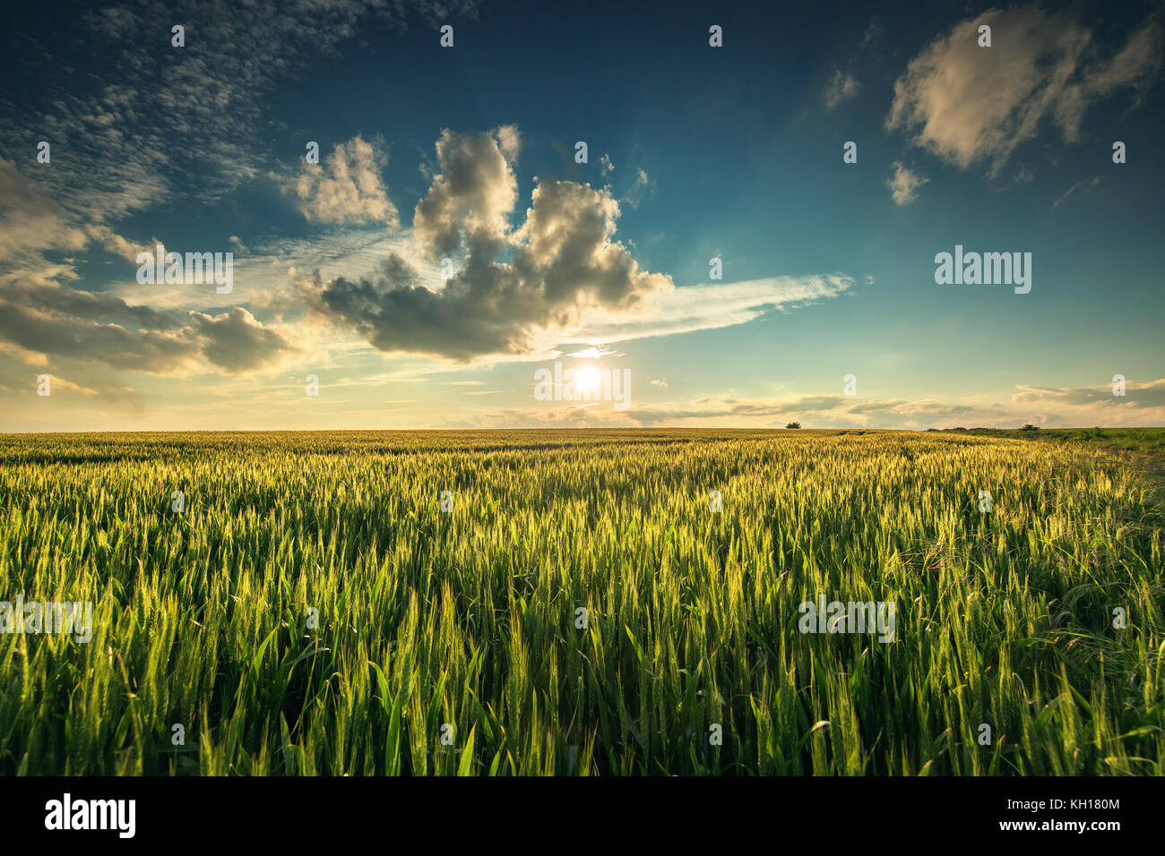 Field sky landscape hi-res stock photography and images - Alamy