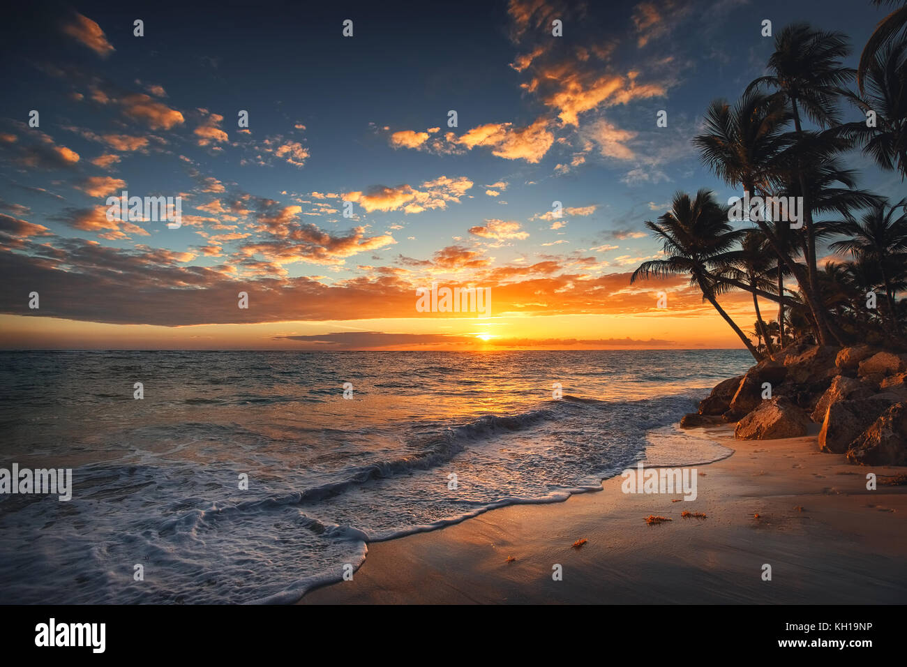 Sunrise on a tropical island. Palm trees on sandy beach Stock Photo - Alamy
