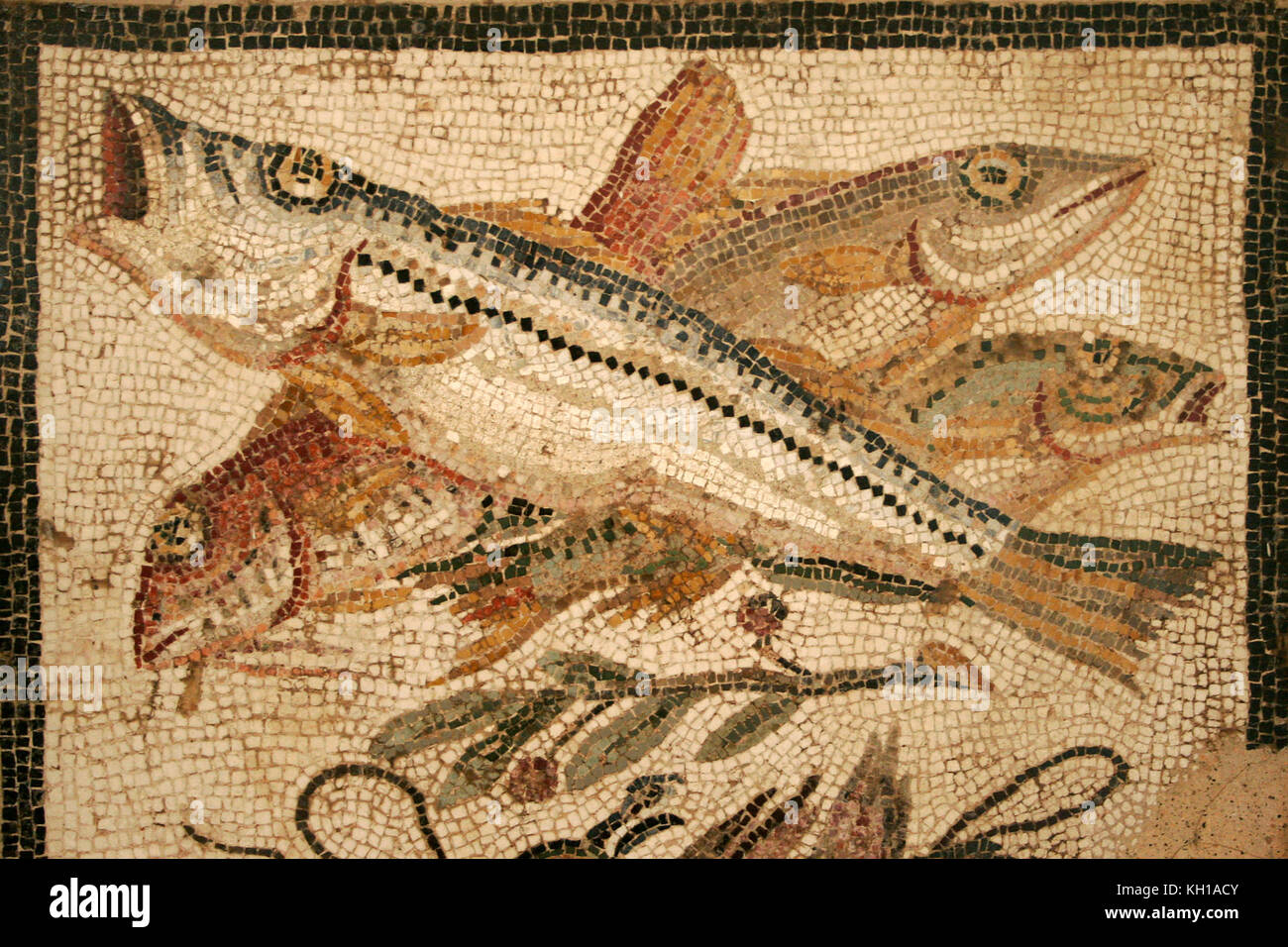 unposted Italy Pompeii Fish Mosaic 