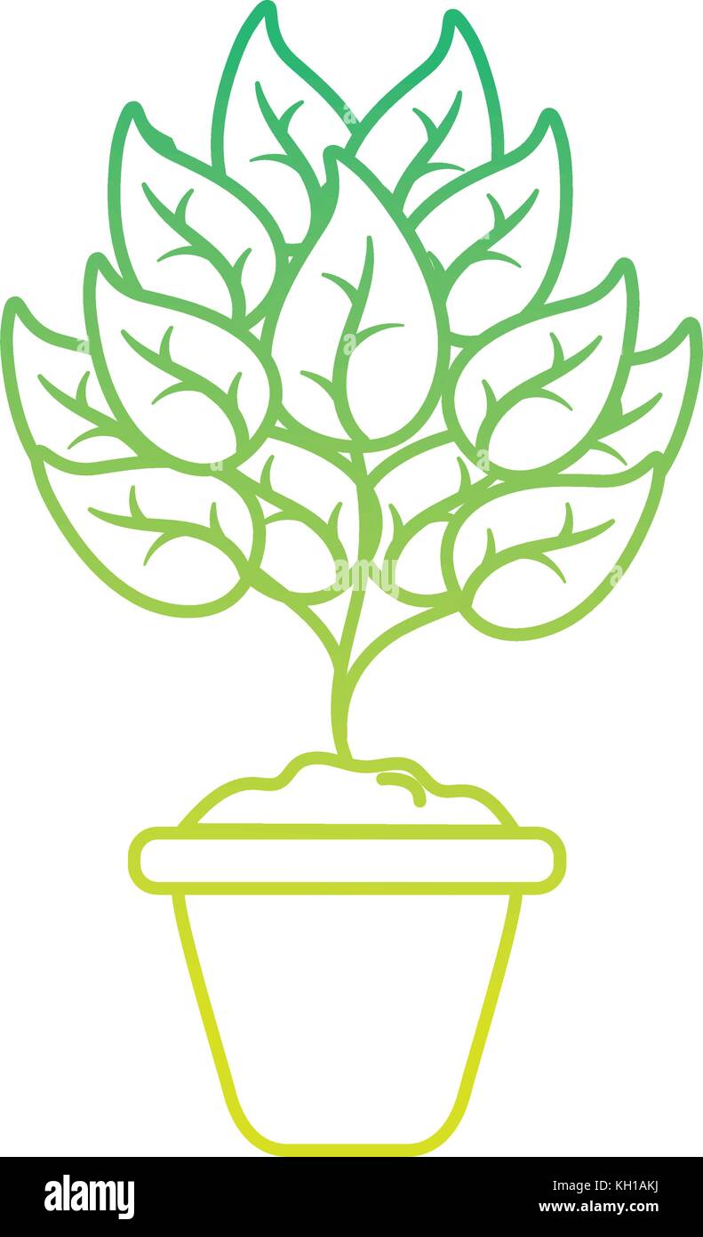 Isolated plant design Stock Vector Image & Art - Alamy