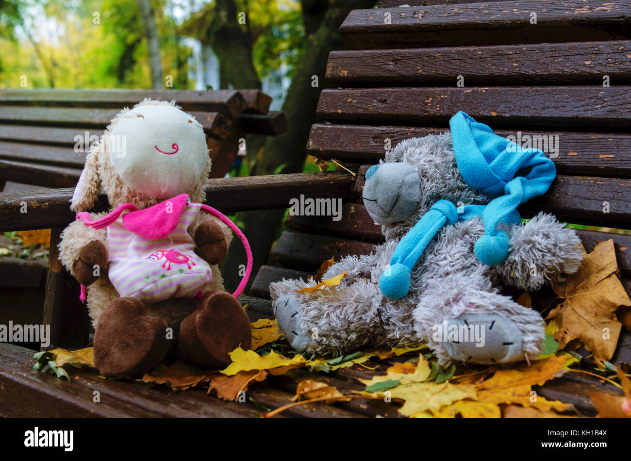 two toy-bear on a bench in the park Stock Photo - Alamy