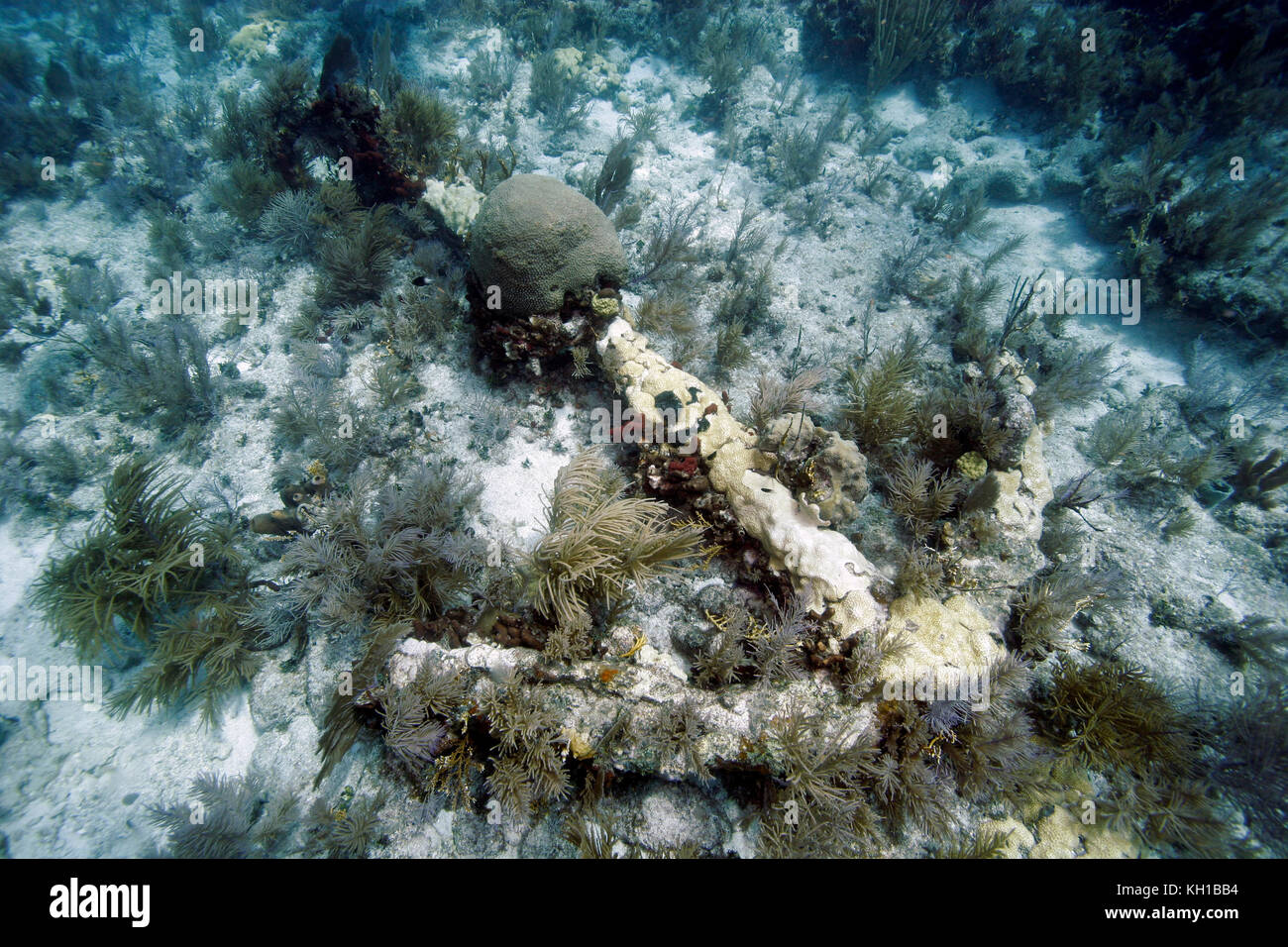 Spanish anchor, Molasses Reef, Key Largo, Florida Stock Photo Alamy