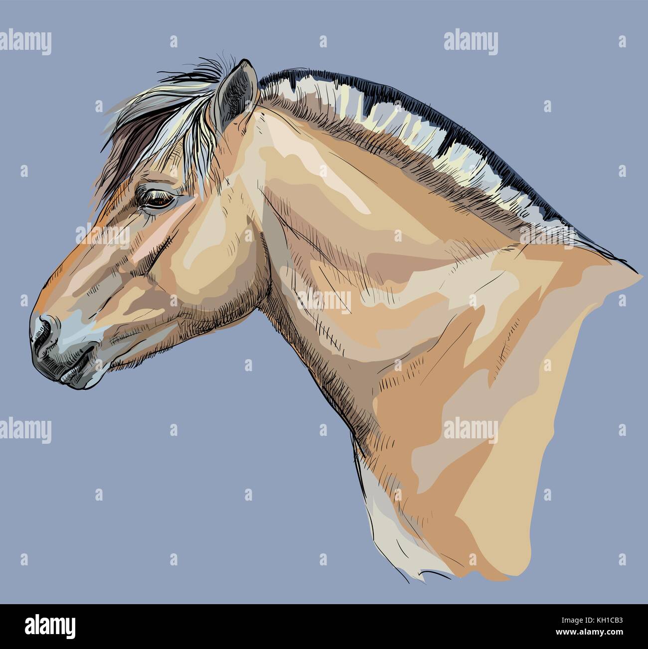 Portrait of horse head in profil (norwegian fjord pony) vector colorful hand drawing illustration on blue background Stock Vector
