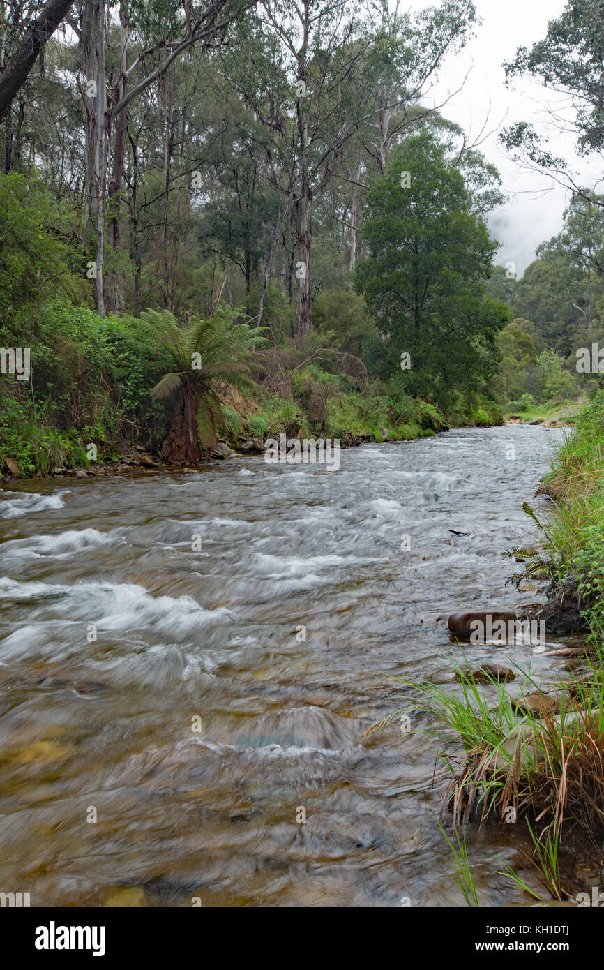 Mountain stream, Victoria Australia Stock Photo