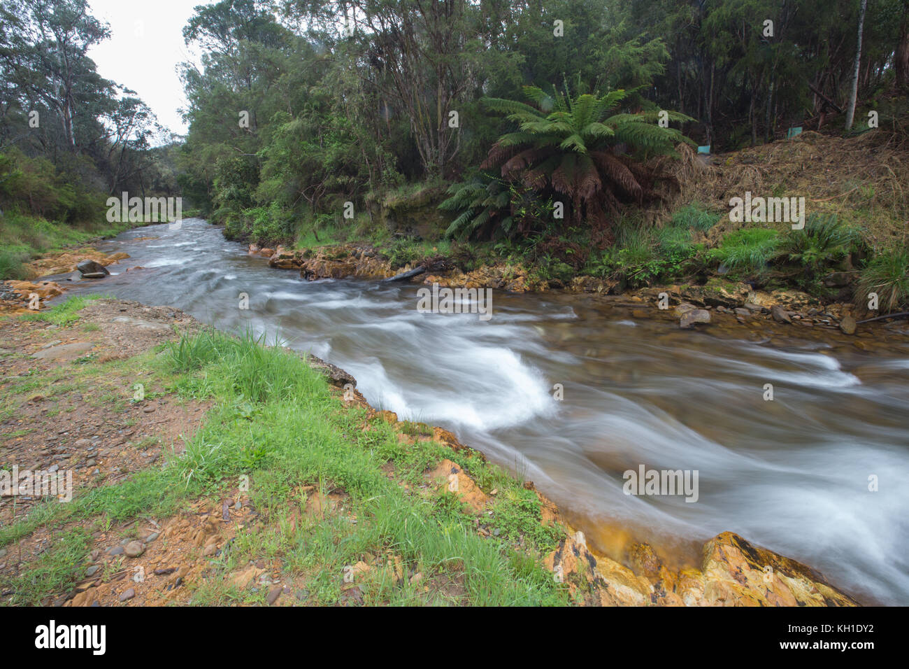 Mountain stream, Victoria Australia long exposure Stock Photo
