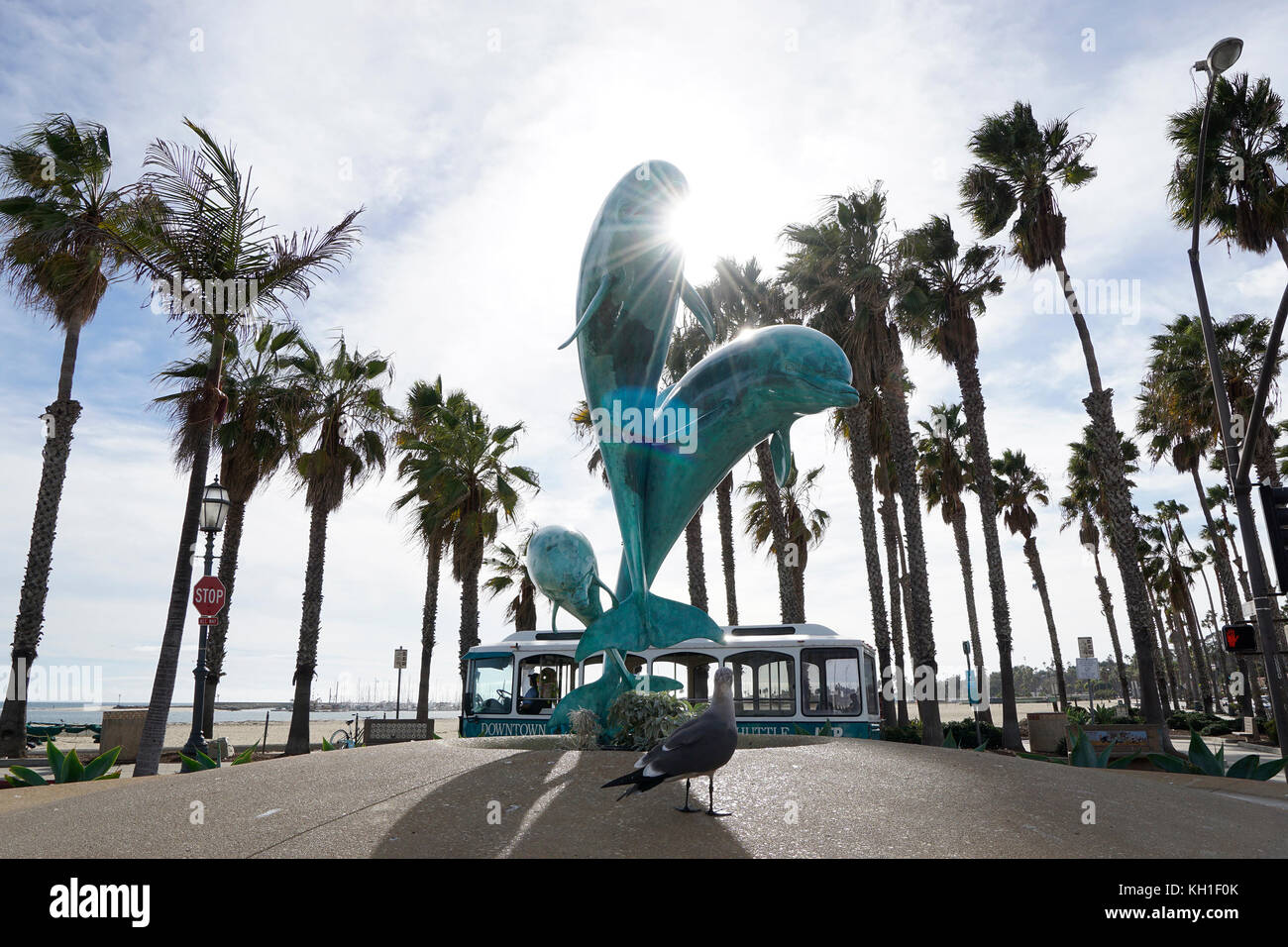 Dolphins icon of the sea jumping on fountain against palm trees and sun Stock Photo