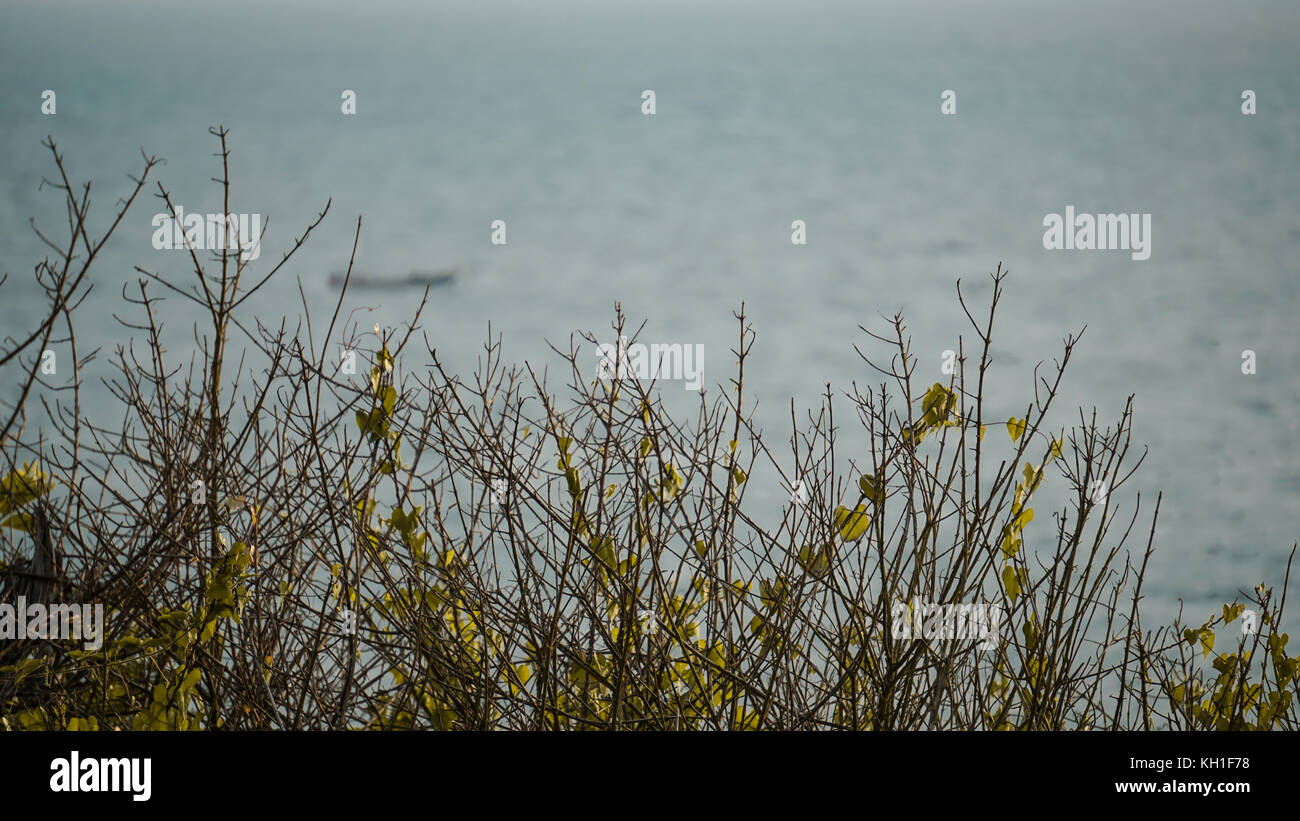 Inner Strength High Resolution Stock Photography and Images - Alamy