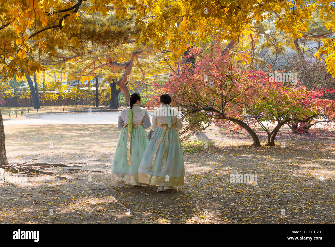 Asian girls with Hanbok(traditional Korean dress) and yellow autumn maple leaves in Gyeongbokgung palace in Seoul, South Korea. Stock Photo