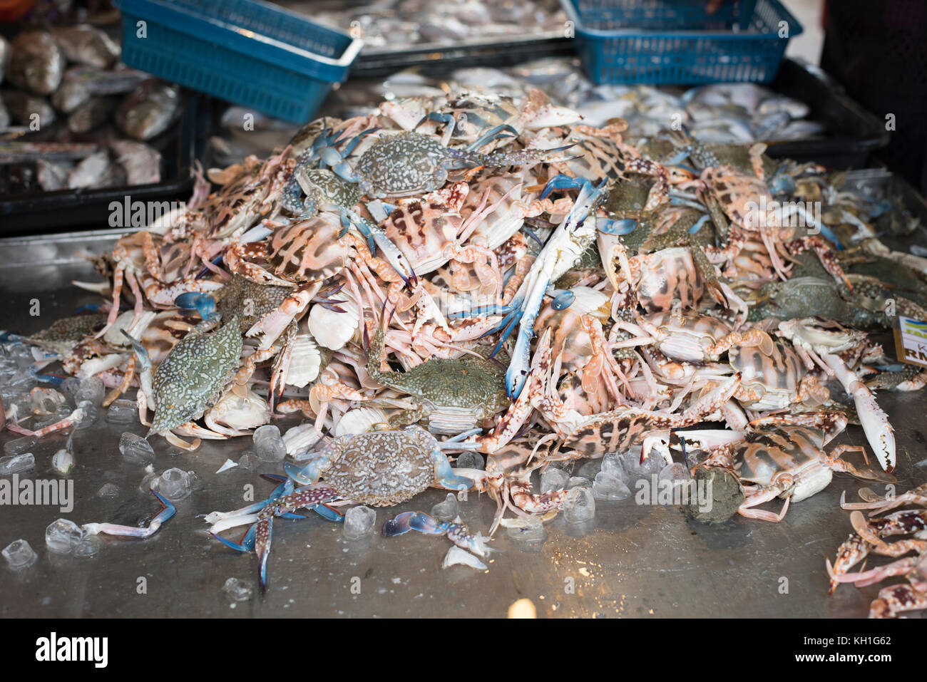 raw crab for sale at fishermans fresh market Stock Photo - Alamy