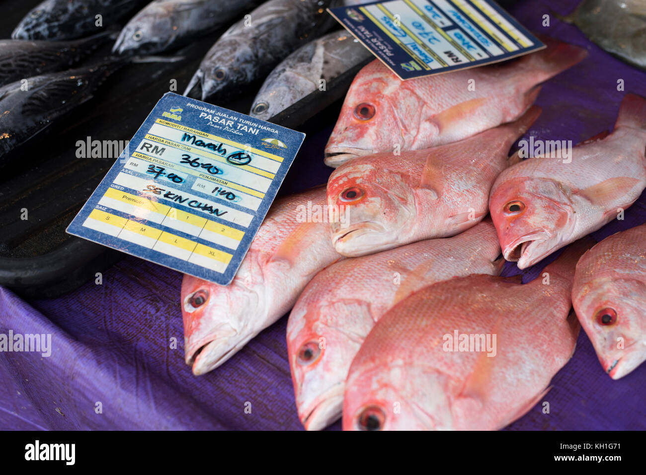 Kelana Jaya,Petaling Jaya,Selangor,Malaysia11th November 2017 ; pile