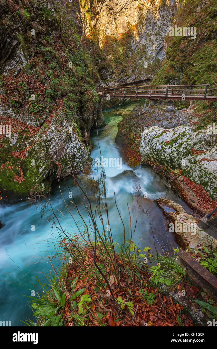 Bled, Slovenia - The beautiful Vintgar Gorge canyon with wooden path and stream near Bled, Triglav Stock Photo