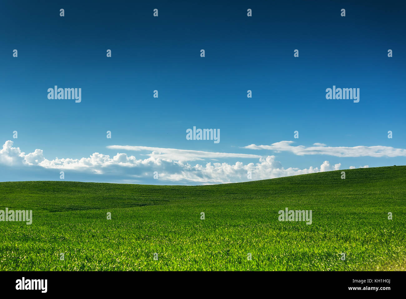 Green field and blue sky with clouds Stock Photo - Alamy