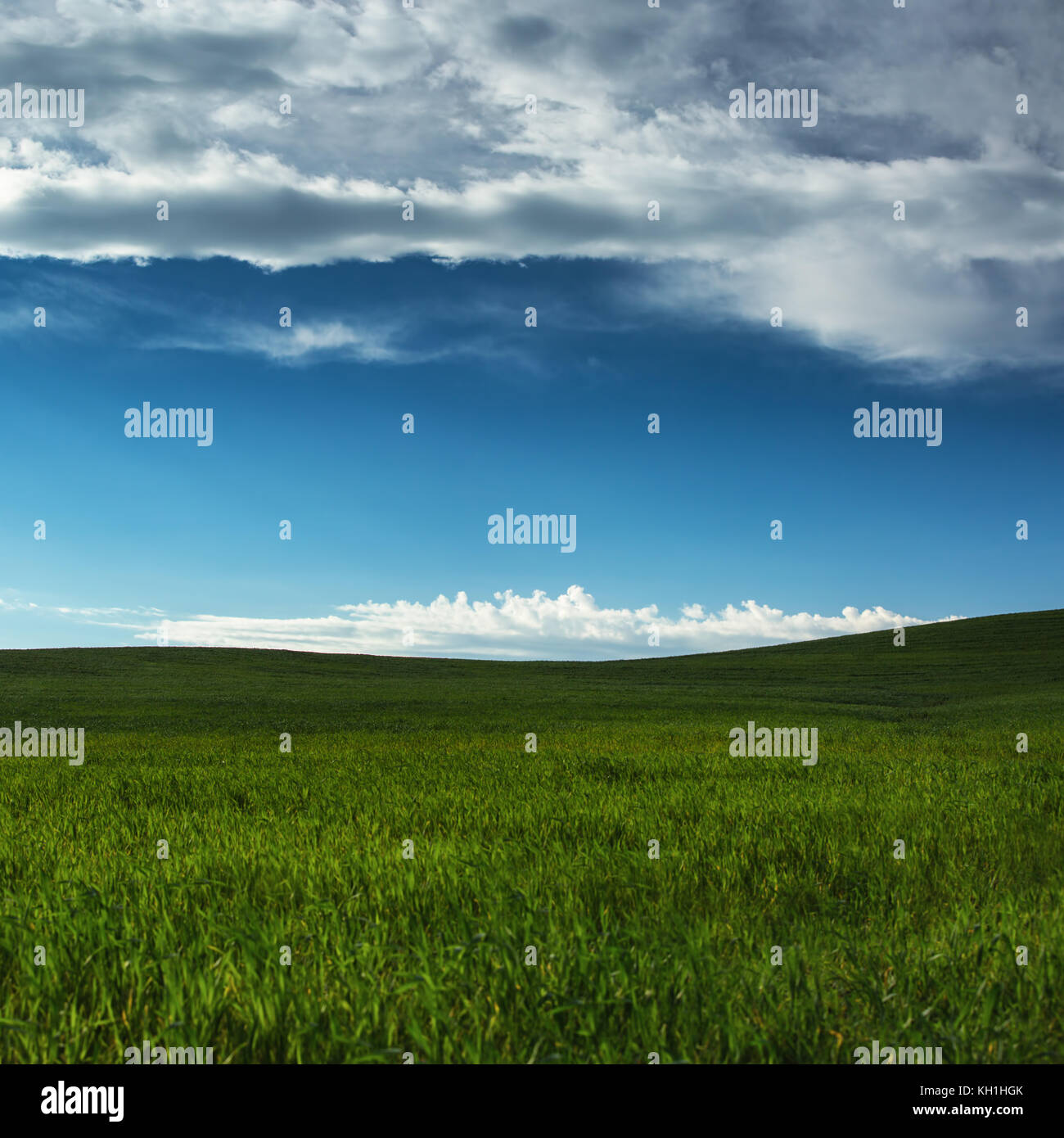 Green field and blue sky with clouds Stock Photo - Alamy