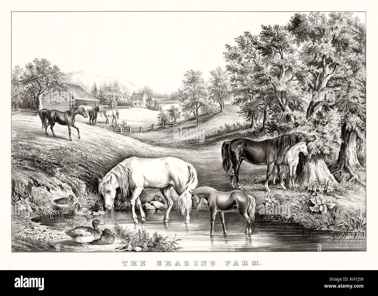 Horse Grazing Drawing