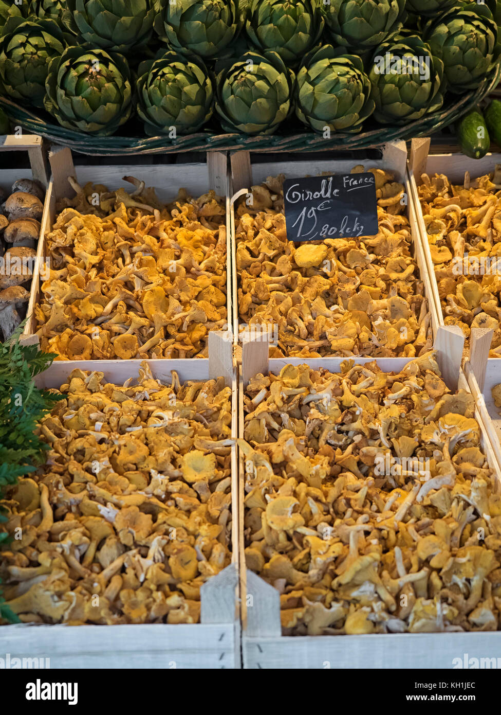 SAINTES, FRANCE SEPTEMBER 09, 2017 Fresh raw Chanterelle Mushrooms