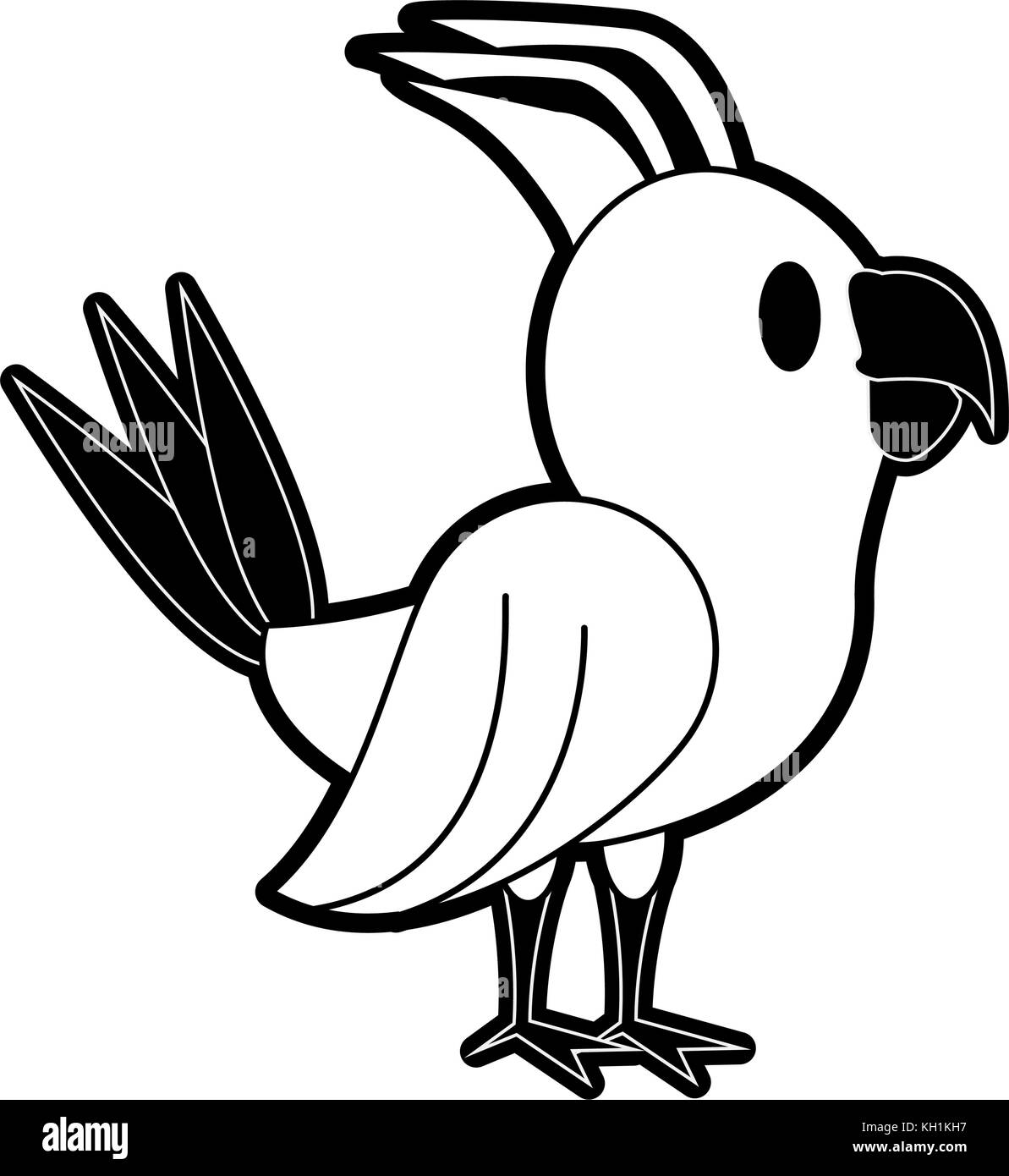 Parrot Cartoon Black and White Stock Photos & Images Alamy