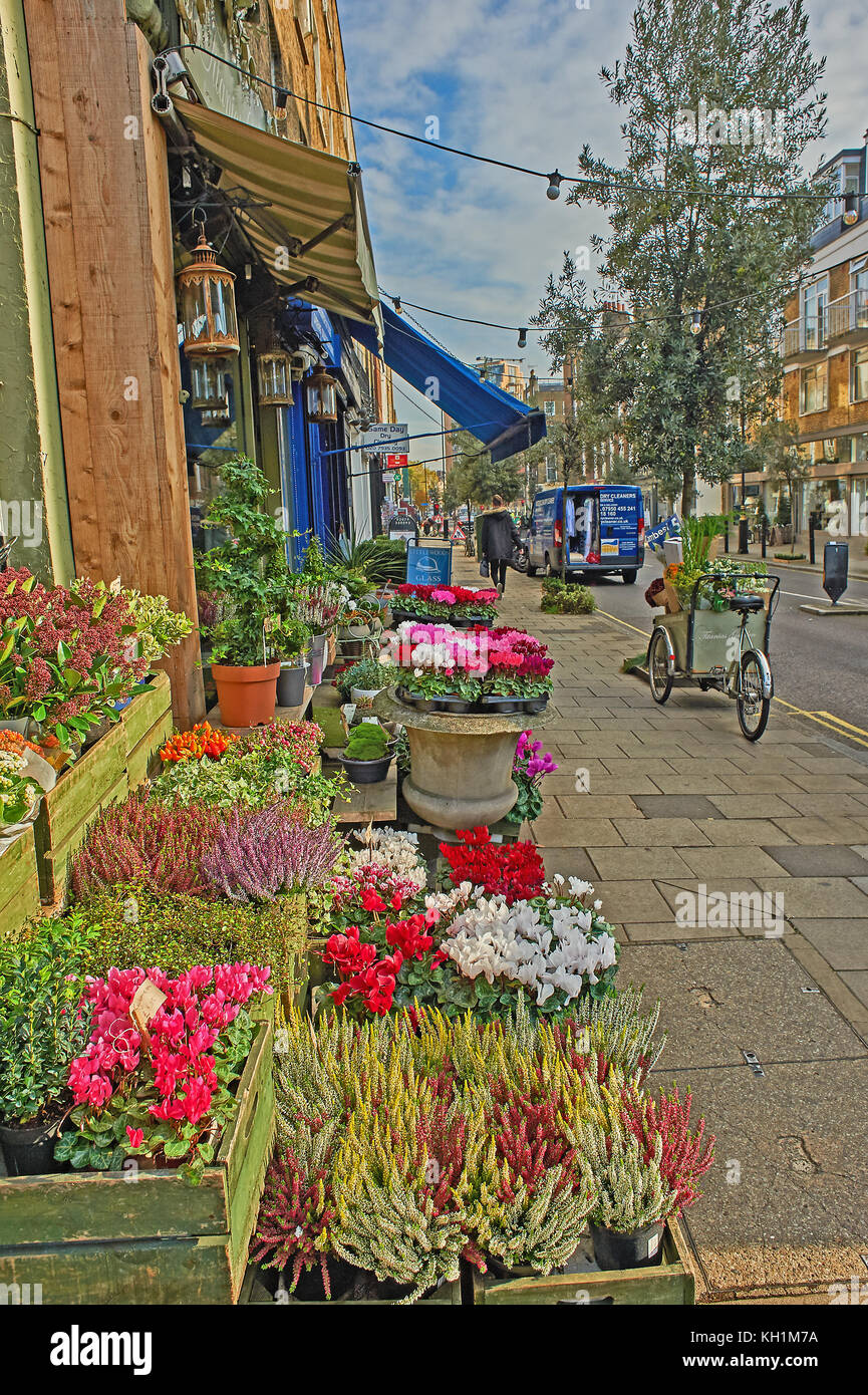 A street scene in Marylebone, London with boxes of flowers outside a