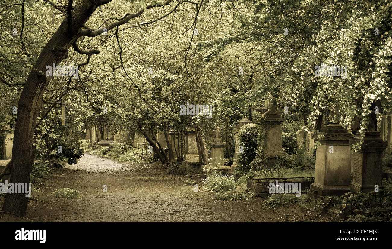 Old English Cemetery in the Gothic period with ancient stone tombstones