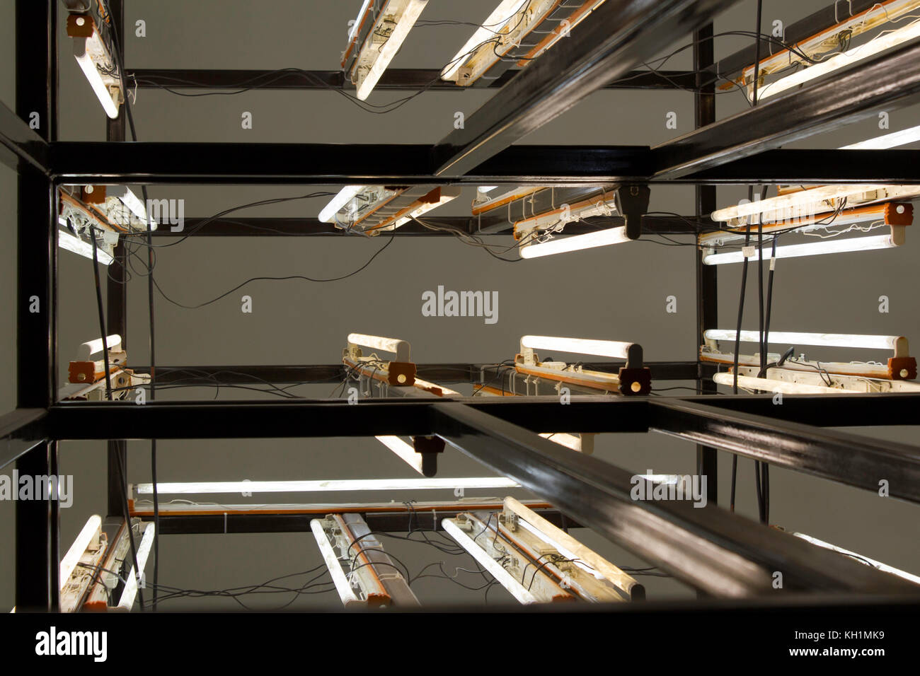 Many neon lights mounted on a metal structure and used for a technological experiment. Stock Photo