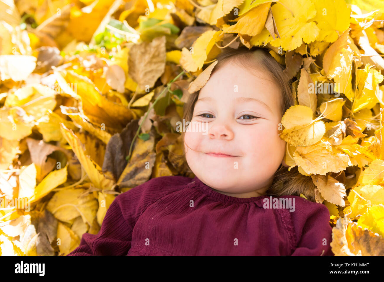 Happy little girl in bright yellow pile of raked leaves Stock Photo Alamy