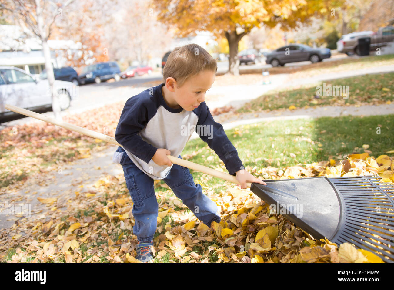 Little boy raking leaves in urban neighborhood Stock Photo