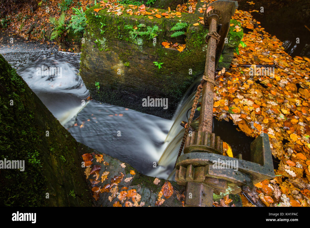 Chelwood vachary in the Ashdown Forest, Chelwood Gate, nr Uckfield