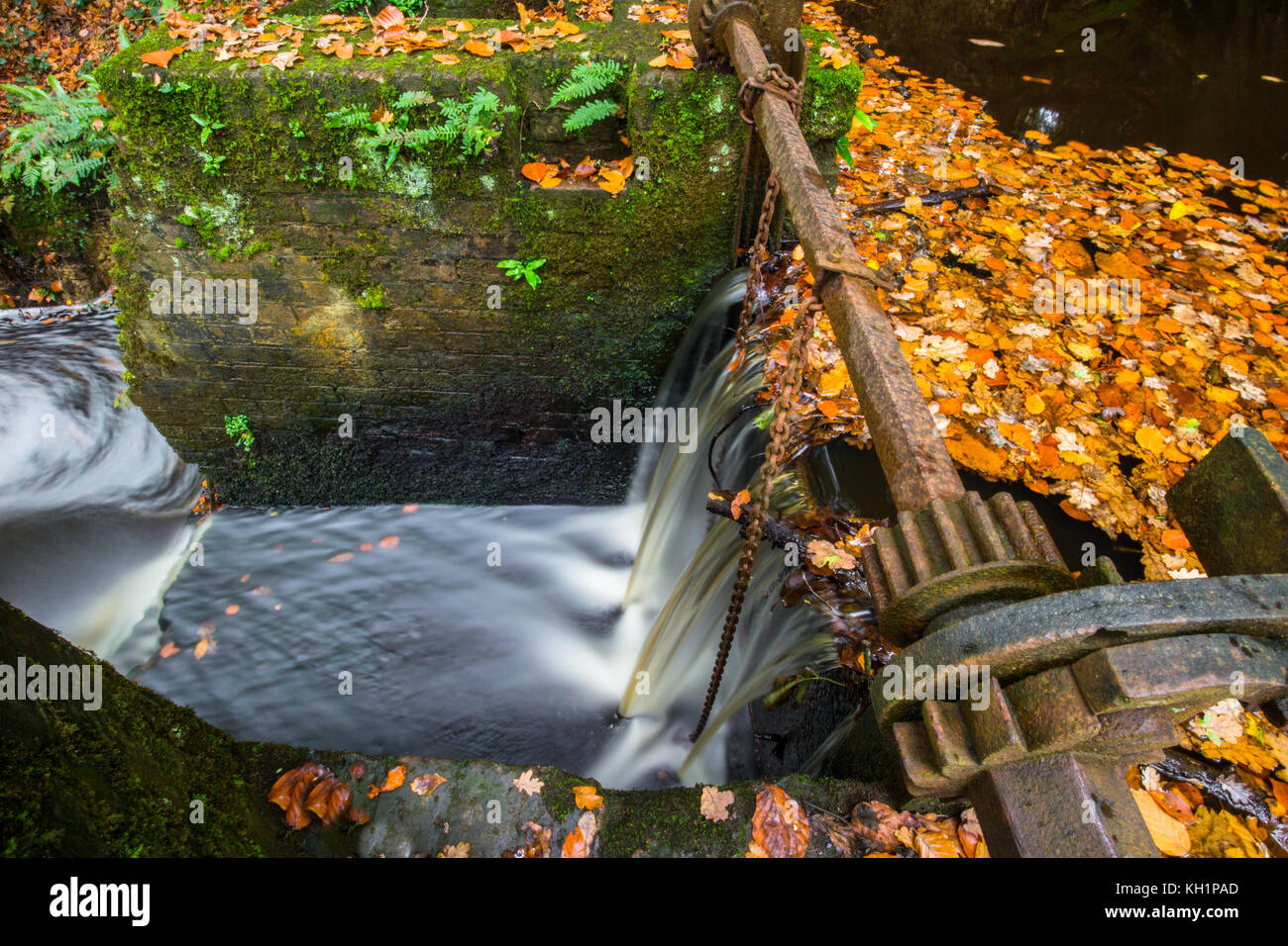 Chelwood vachary in the Ashdown Forest, Chelwood Gate, nr Uckfield