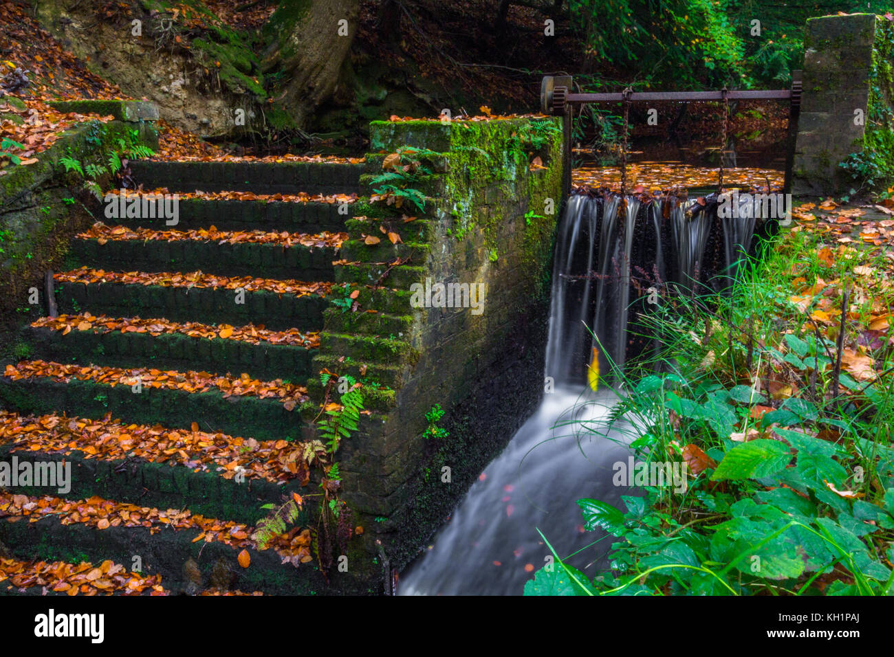 Chelwood vachary in the Ashdown Forest, Chelwood Gate, nr Uckfield