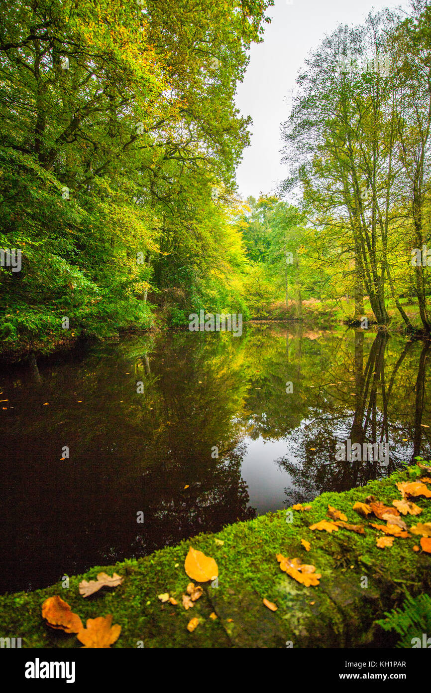 Chelwood vachary hires stock photography and images Alamy