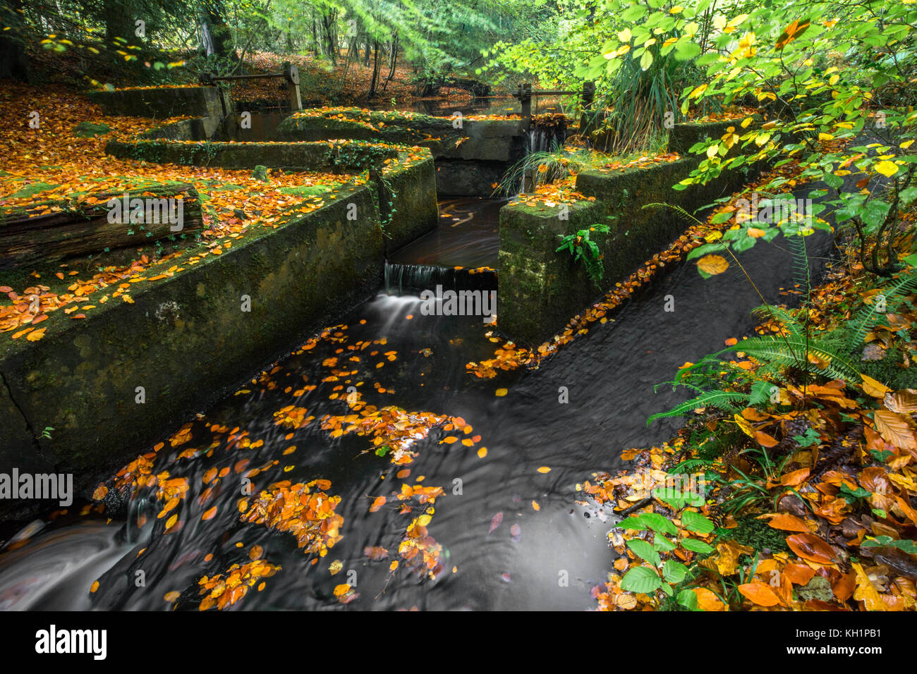 Chelwood gate hires stock photography and images Alamy